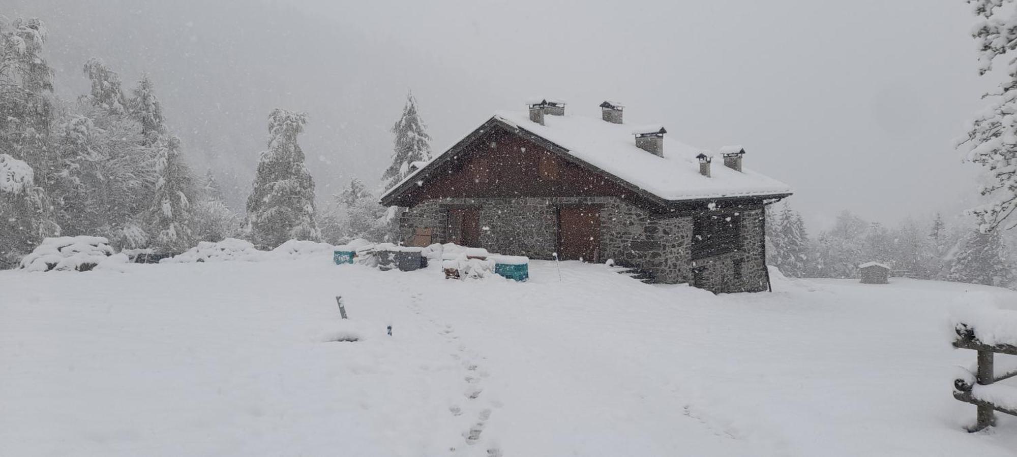 Chalet Al Maso Val Calamento Telve Eksteriør billede